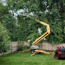 Best Hazardous Tree Removal  in Ellenville, NY
